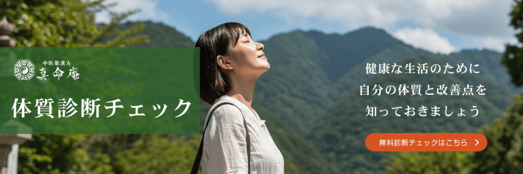 真命庵の体質診断チェック